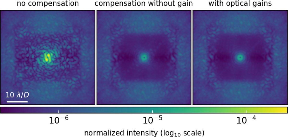 Fig. 5 Refer to the following caption and surrounding text.