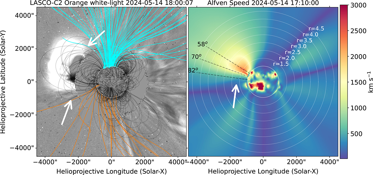 Fig. 6. Refer to the following caption and surrounding text.