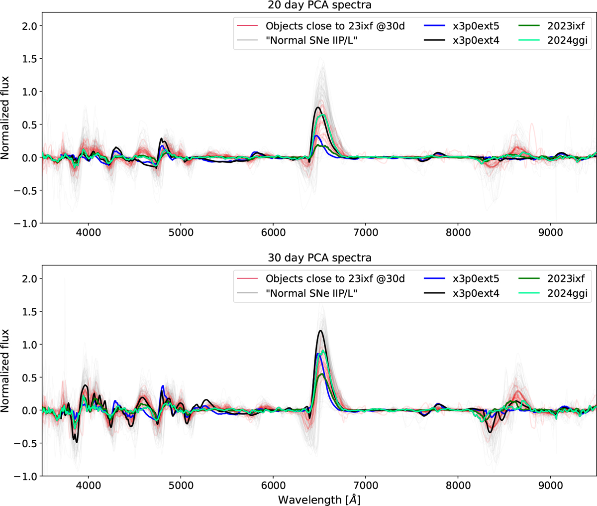 Fig. 6. Refer to the following caption and surrounding text.