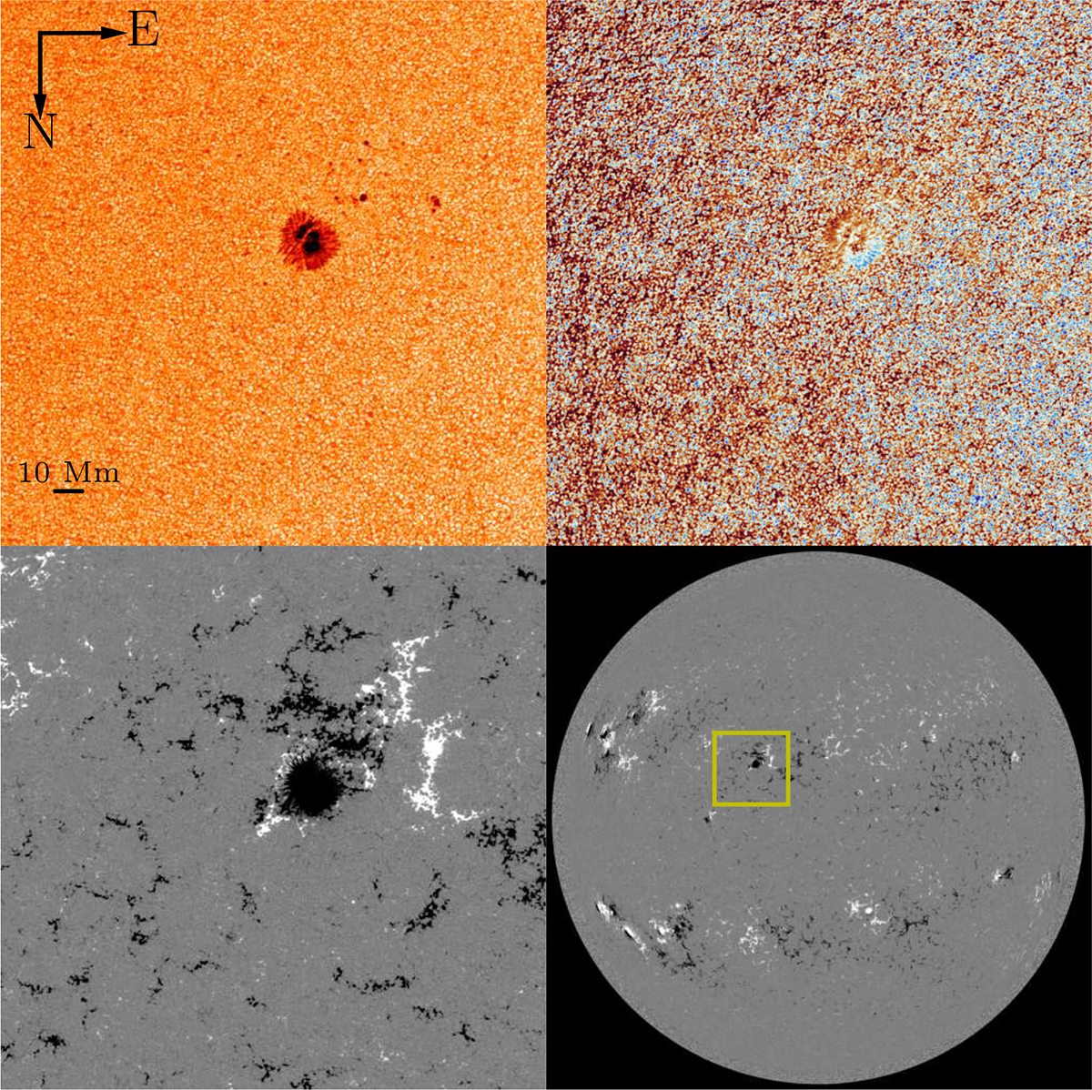 Fig. 1. Refer to the following caption and surrounding text.