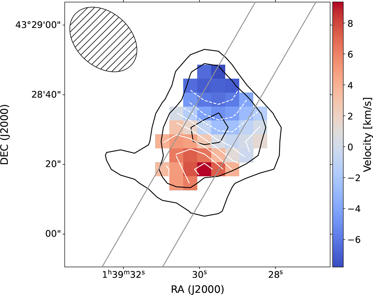 Fig. 3. Refer to the following caption and surrounding text.