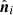 Mathematical equation: $ \hat{\boldsymbol{n}}_i $