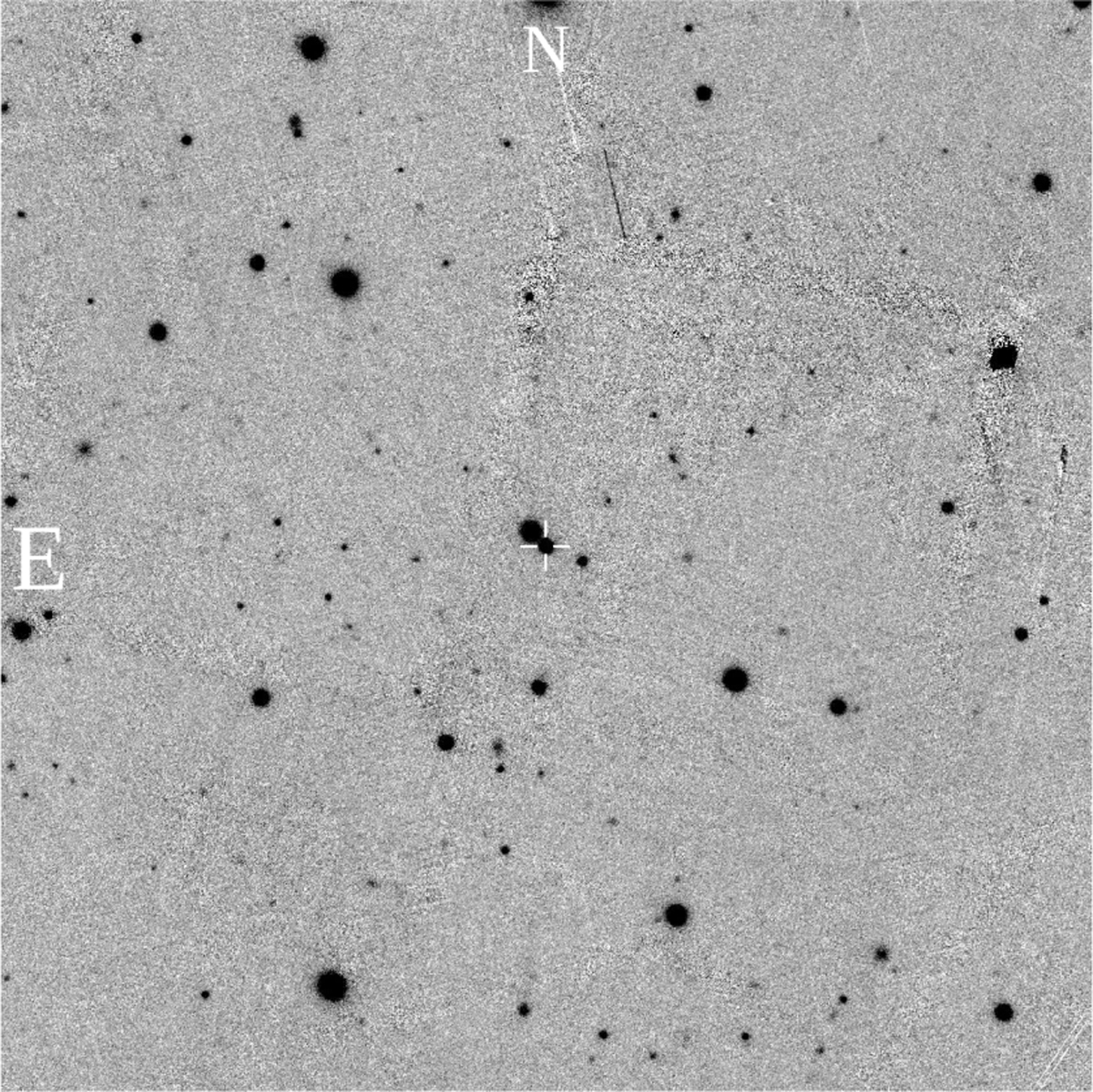 Fig. 4 Refer to the following caption and surrounding text.