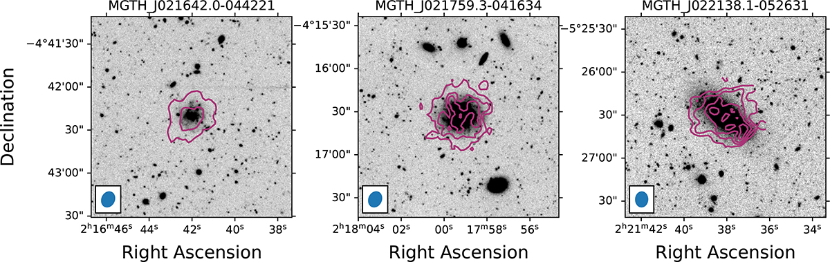 Fig. 2. Refer to the following caption and surrounding text.