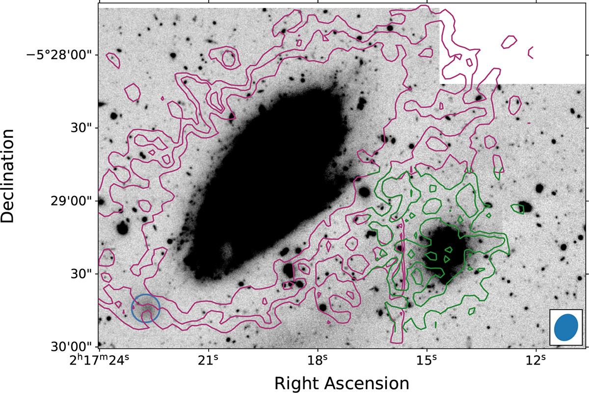 Fig. 3. Refer to the following caption and surrounding text.