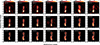 Thumbnail: Fig. 2. Refer to the following caption and surrounding text.