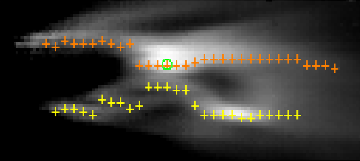 Fig. 2. Refer to the following caption and surrounding text.