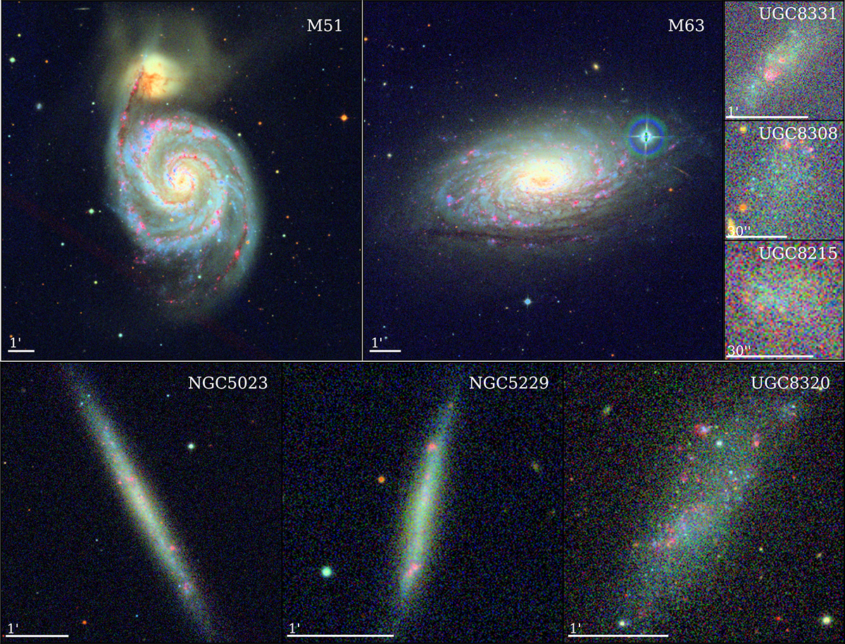 Fig. 1. Refer to the following caption and surrounding text.