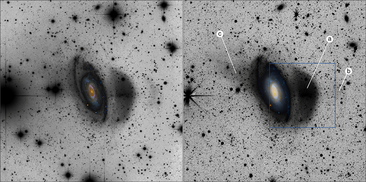 Fig. 1. Refer to the following caption and surrounding text.