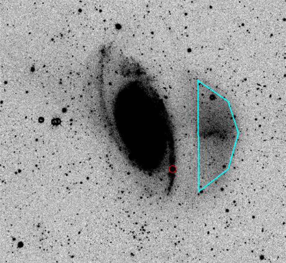 Fig. 3. Refer to the following caption and surrounding text.