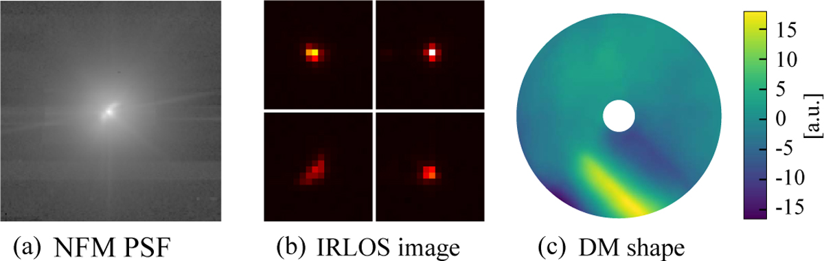 Fig. 2 Refer to the following caption and surrounding text.