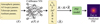 Thumbnail: Fig. 3 Refer to the following caption and surrounding text.