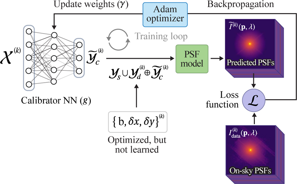 Fig. 4 Refer to the following caption and surrounding text.
