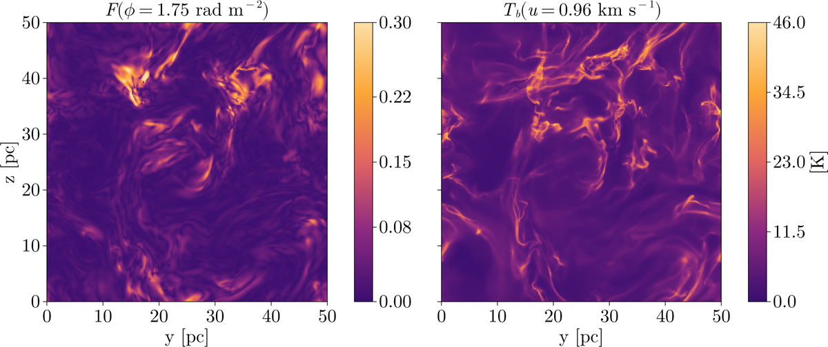 Fig. 6 Refer to the following caption and surrounding text.