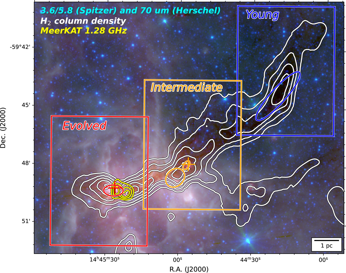 Fig. 1 Refer to the following caption and surrounding text.