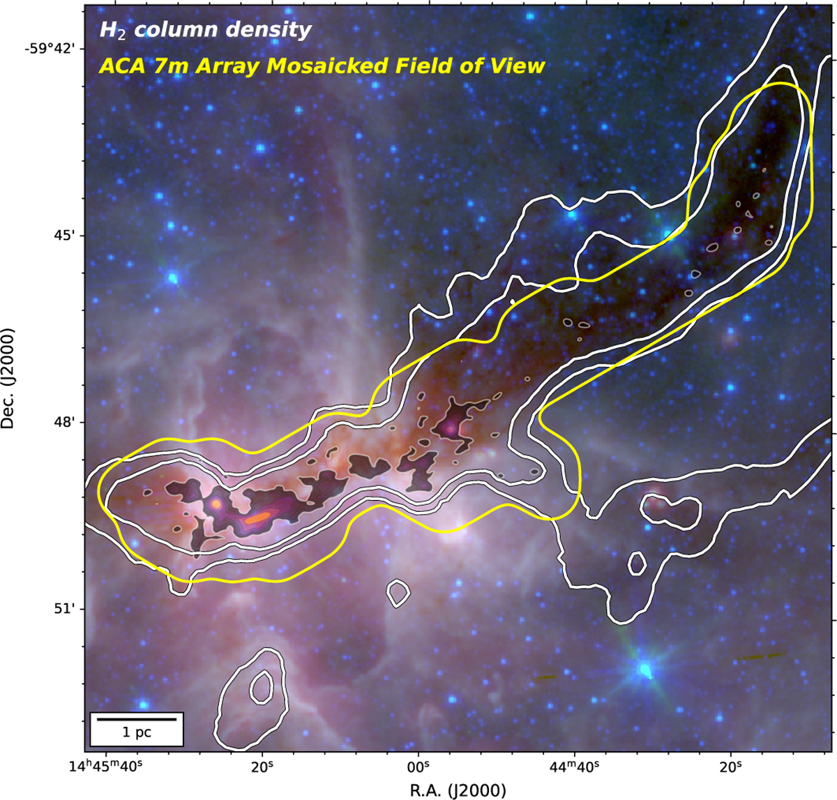 Fig. 2 Refer to the following caption and surrounding text.