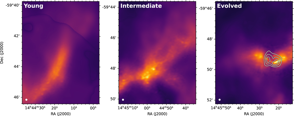 Fig. 4 Refer to the following caption and surrounding text.