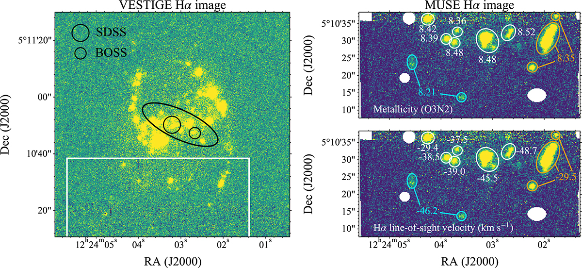 Fig. 5. Refer to the following caption and surrounding text.