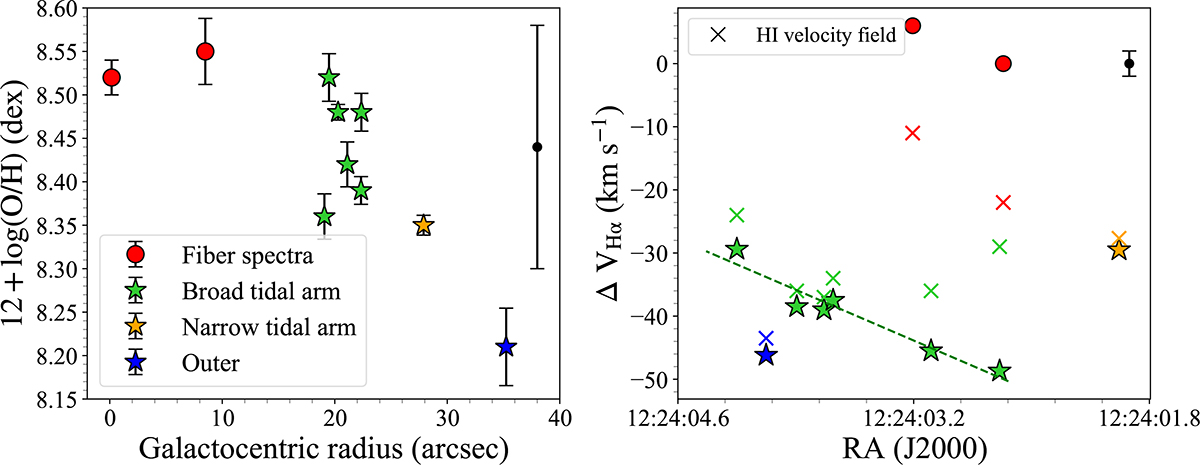 Fig. 6. Refer to the following caption and surrounding text.