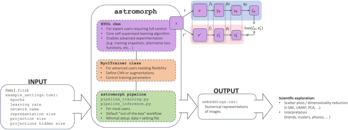 Fig. 1 Refer to the following caption and surrounding text.