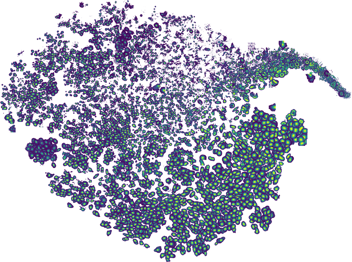 Fig. 2 Refer to the following caption and surrounding text.