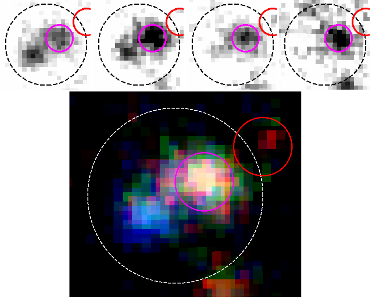 Fig. 10. Refer to the following caption and surrounding text.