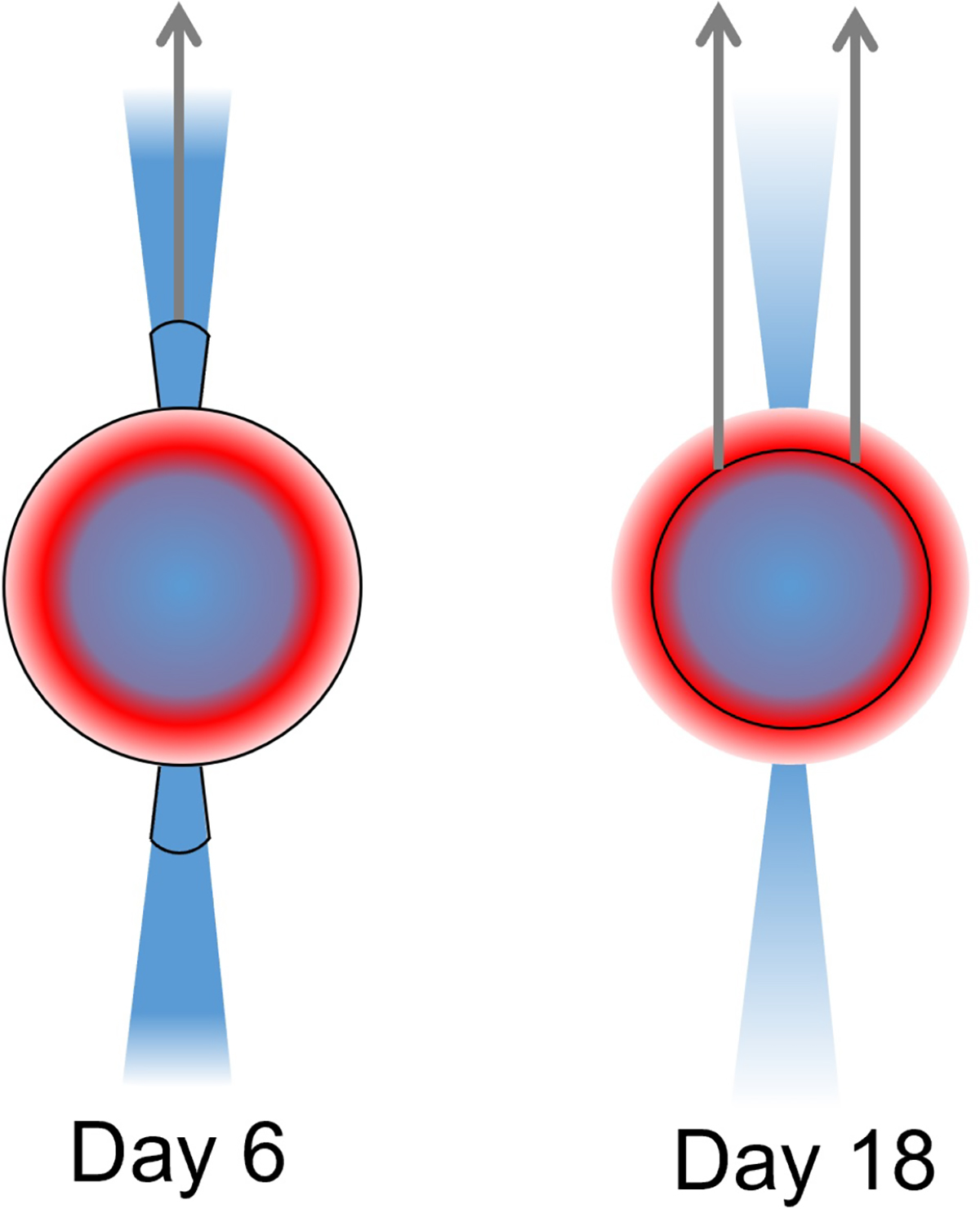 Fig. 15. Refer to the following caption and surrounding text.