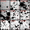 Thumbnail: Fig. 2. Refer to the following caption and surrounding text.