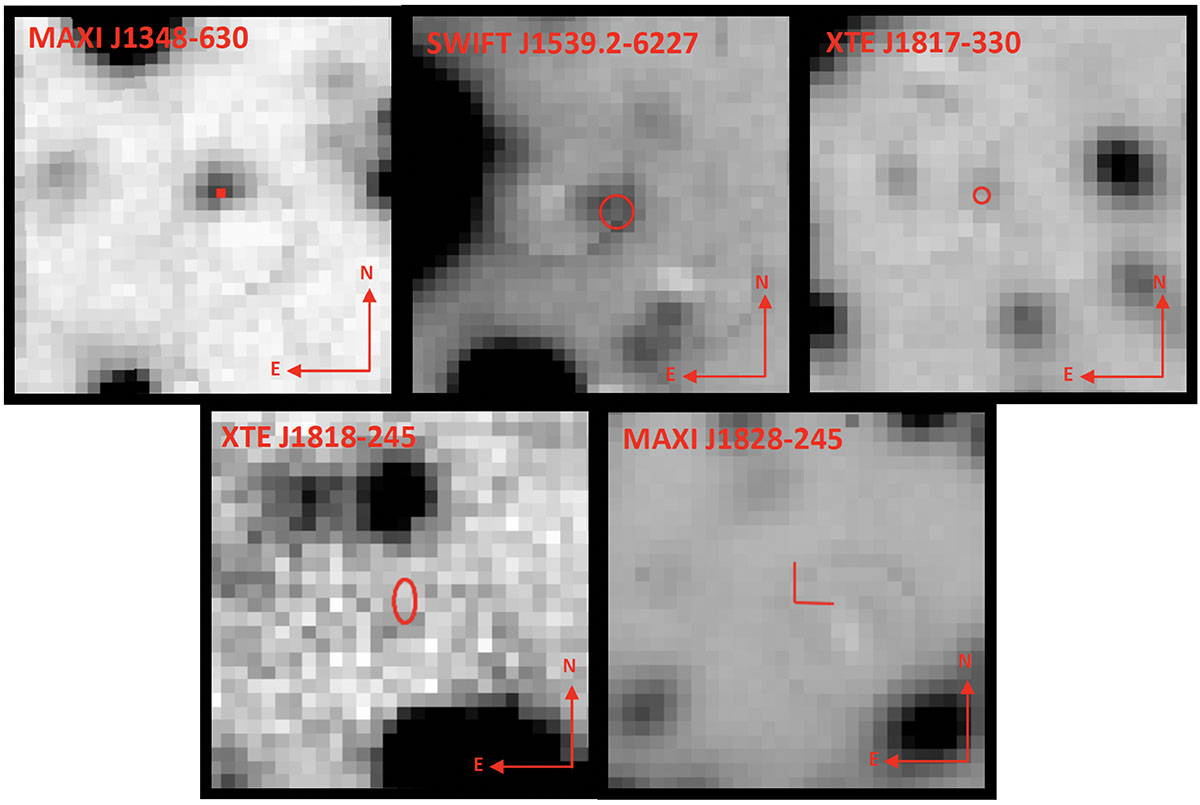 Fig. 3. Refer to the following caption and surrounding text.
