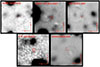 Thumbnail: Fig. 3. Refer to the following caption and surrounding text.