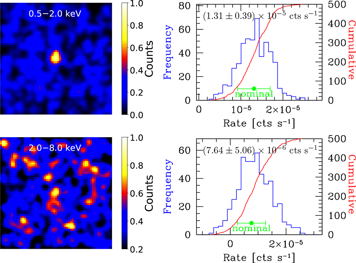 Fig. 5. Refer to the following caption and surrounding text.