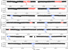 Thumbnail: Fig. A.1 Refer to the following caption and surrounding text.