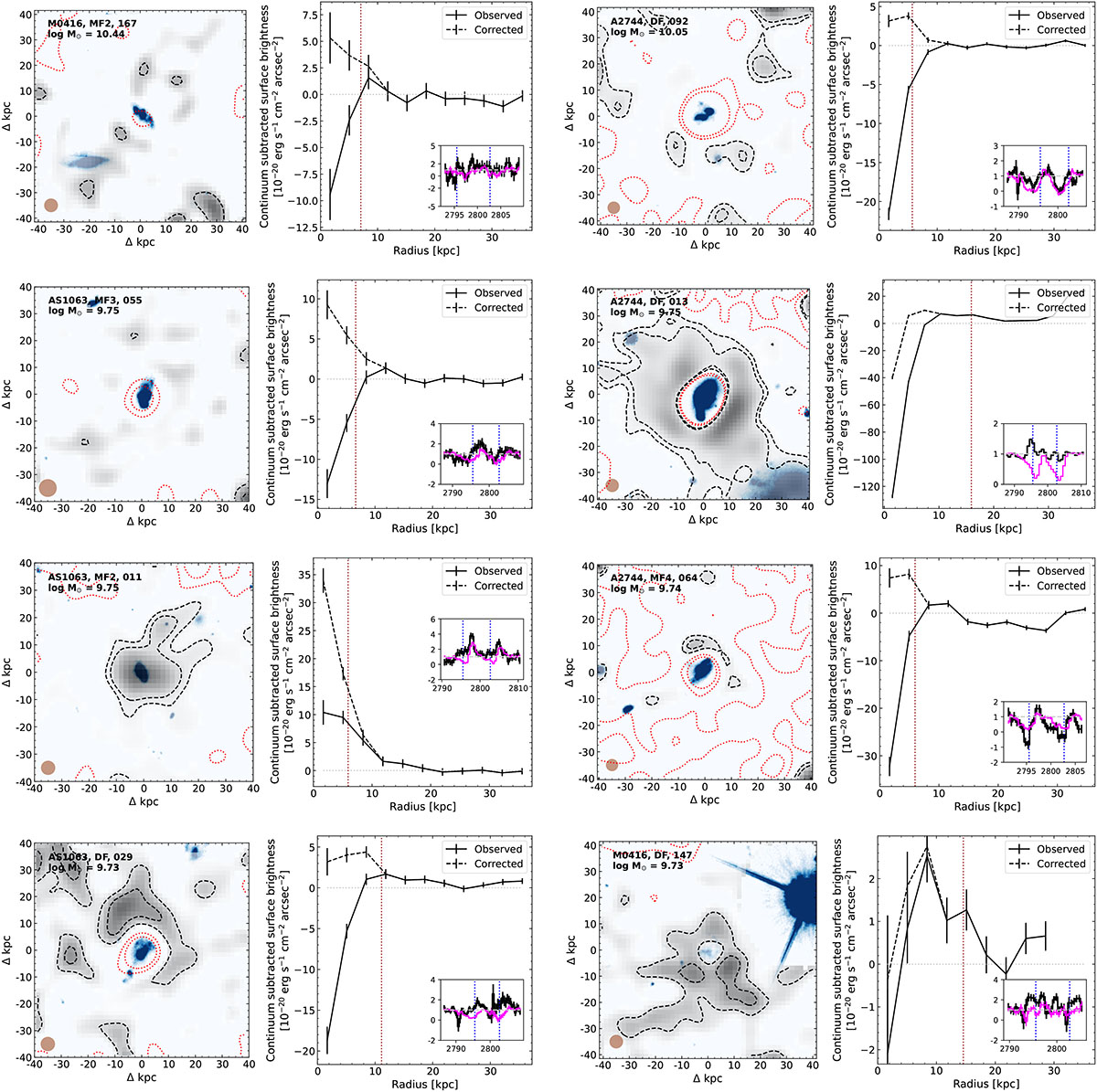 Fig. 4. Refer to the following caption and surrounding text.
