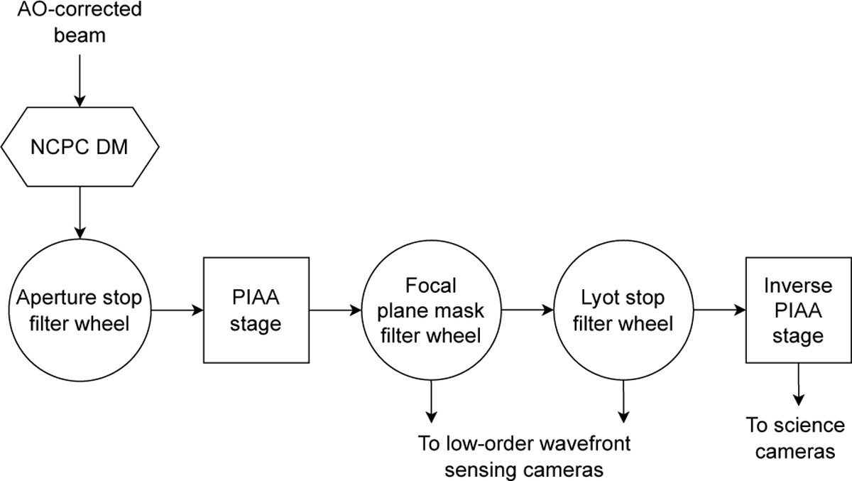 Fig. 1 Refer to the following caption and surrounding text.