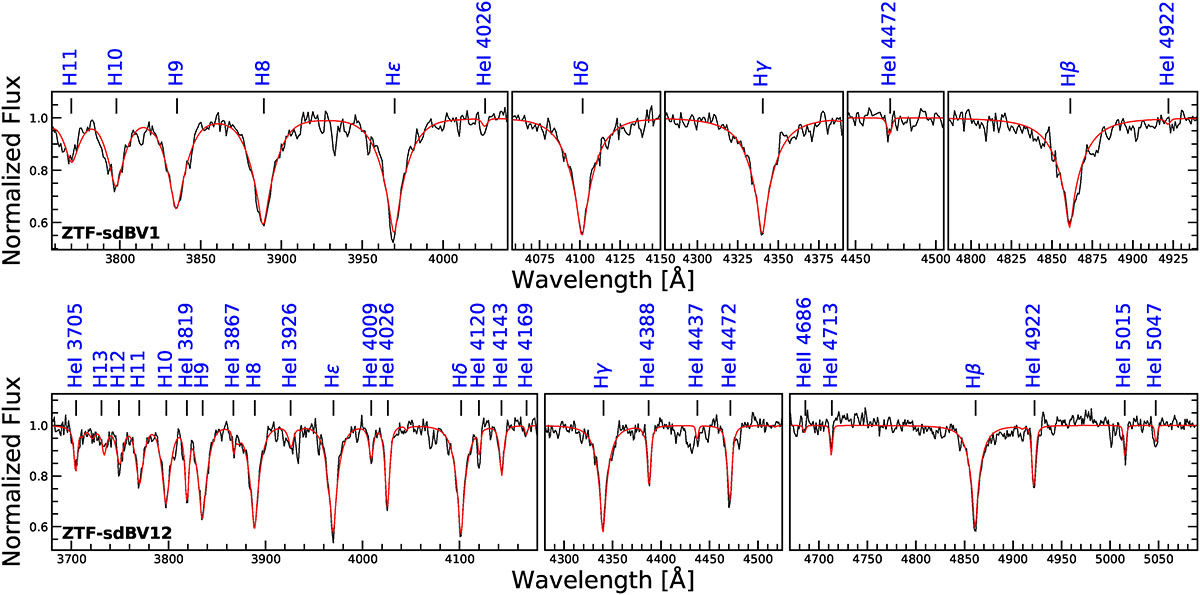 Fig. 6. Refer to the following caption and surrounding text.