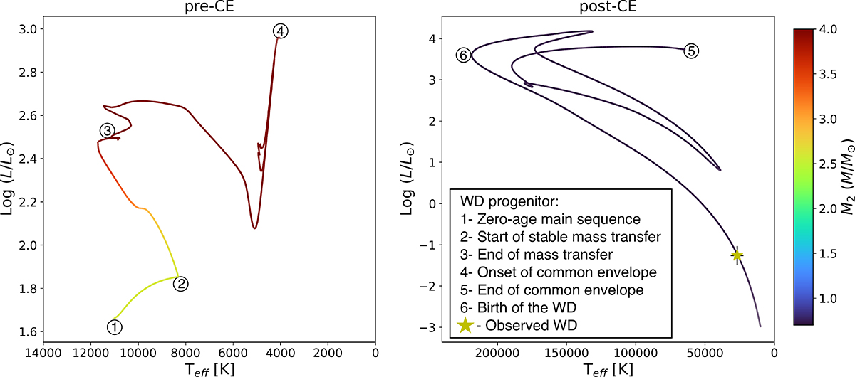 Fig. 3. Refer to the following caption and surrounding text.