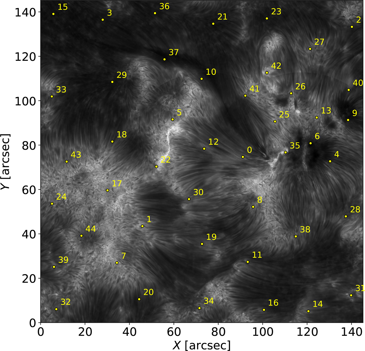 Fig. 1. Refer to the following caption and surrounding text.