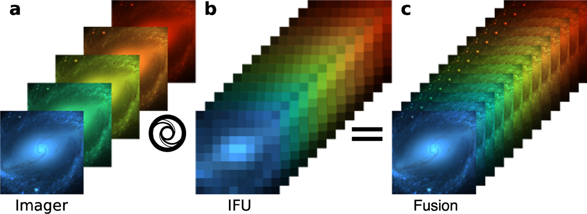 Fig. 1. Refer to the following caption and surrounding text.