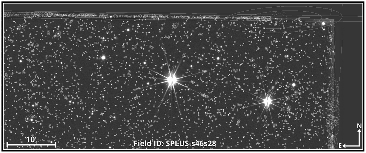 Fig. 1 Refer to the following caption and surrounding text.