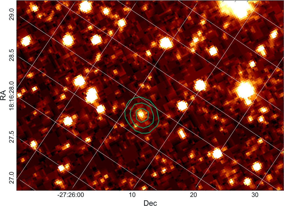 Fig. 4. Refer to the following caption and surrounding text.