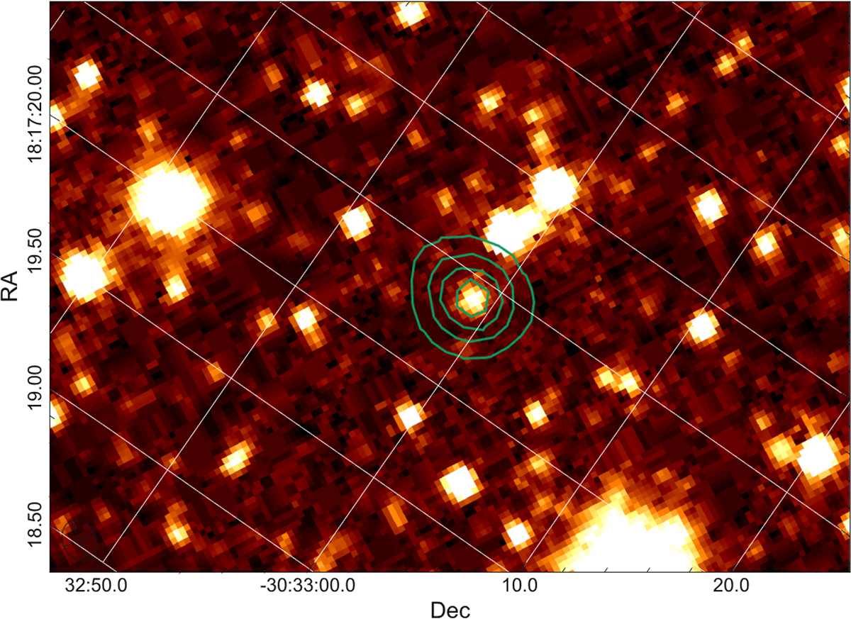 Fig. 5. Refer to the following caption and surrounding text.