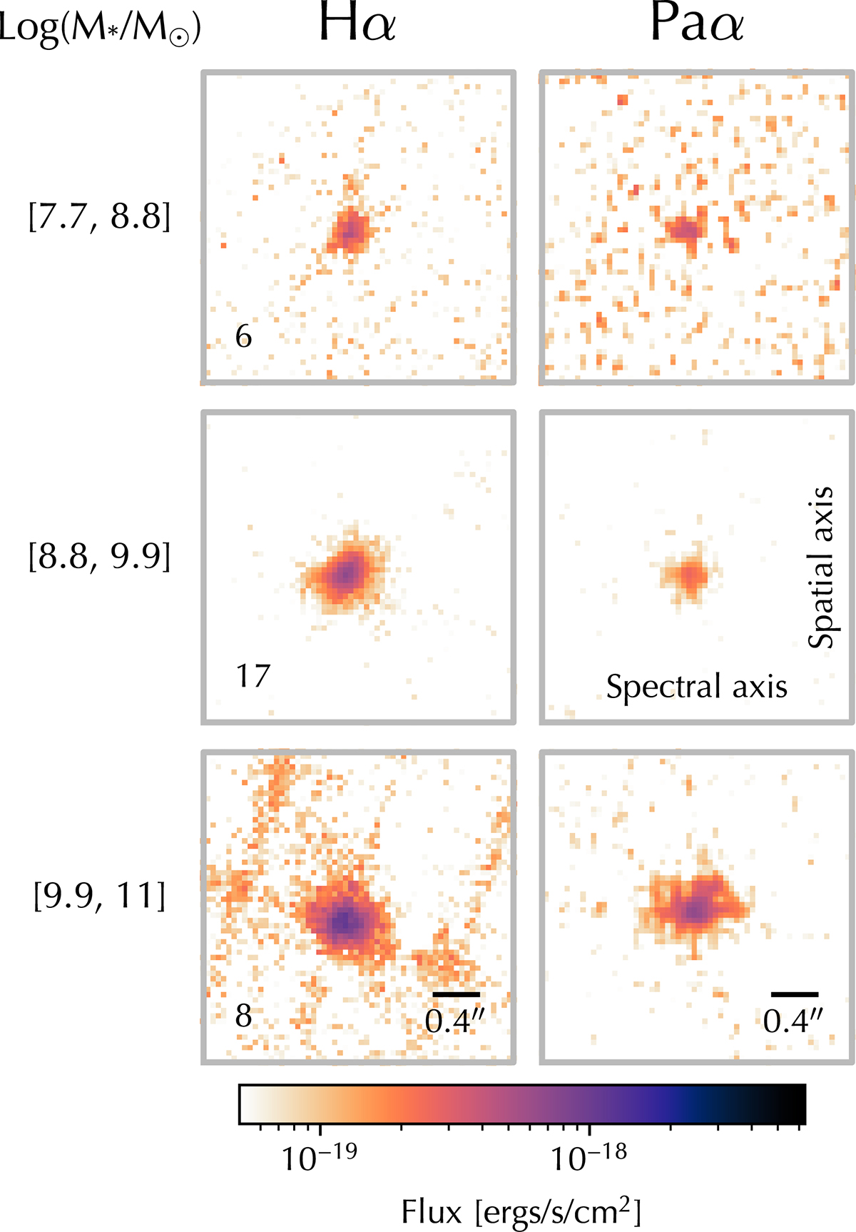 Fig. 4. Refer to the following caption and surrounding text.