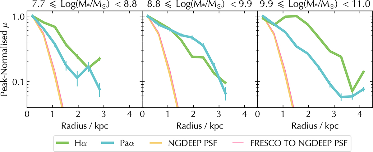 Fig. 5. Refer to the following caption and surrounding text.