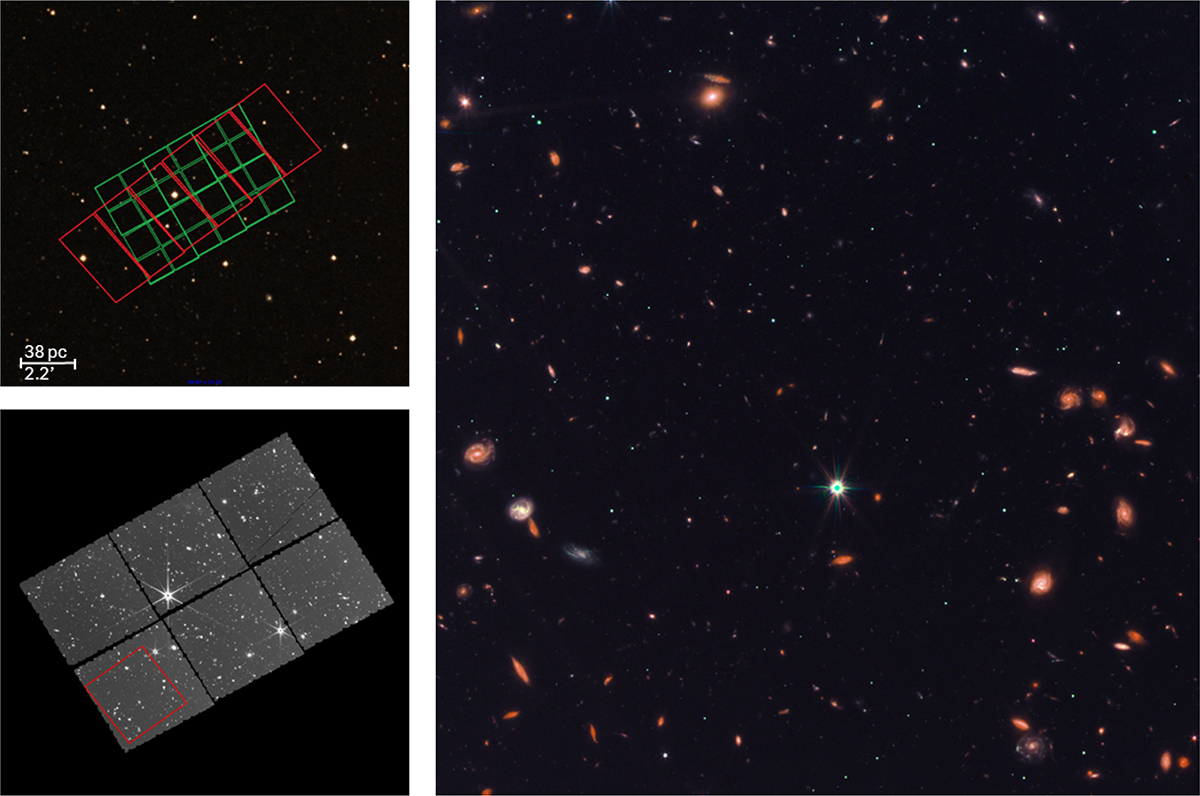 Fig. 1. Refer to the following caption and surrounding text.