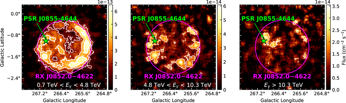 Fig. 1. Refer to the following caption and surrounding text.