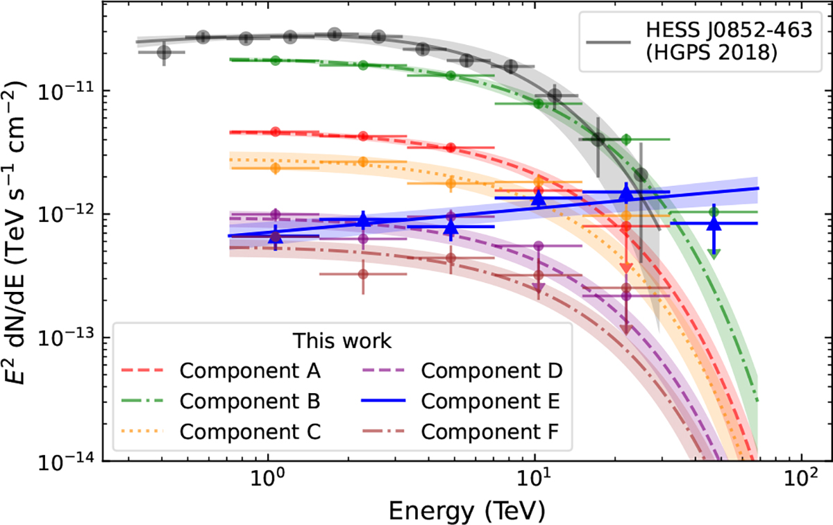 Fig. 3. Refer to the following caption and surrounding text.