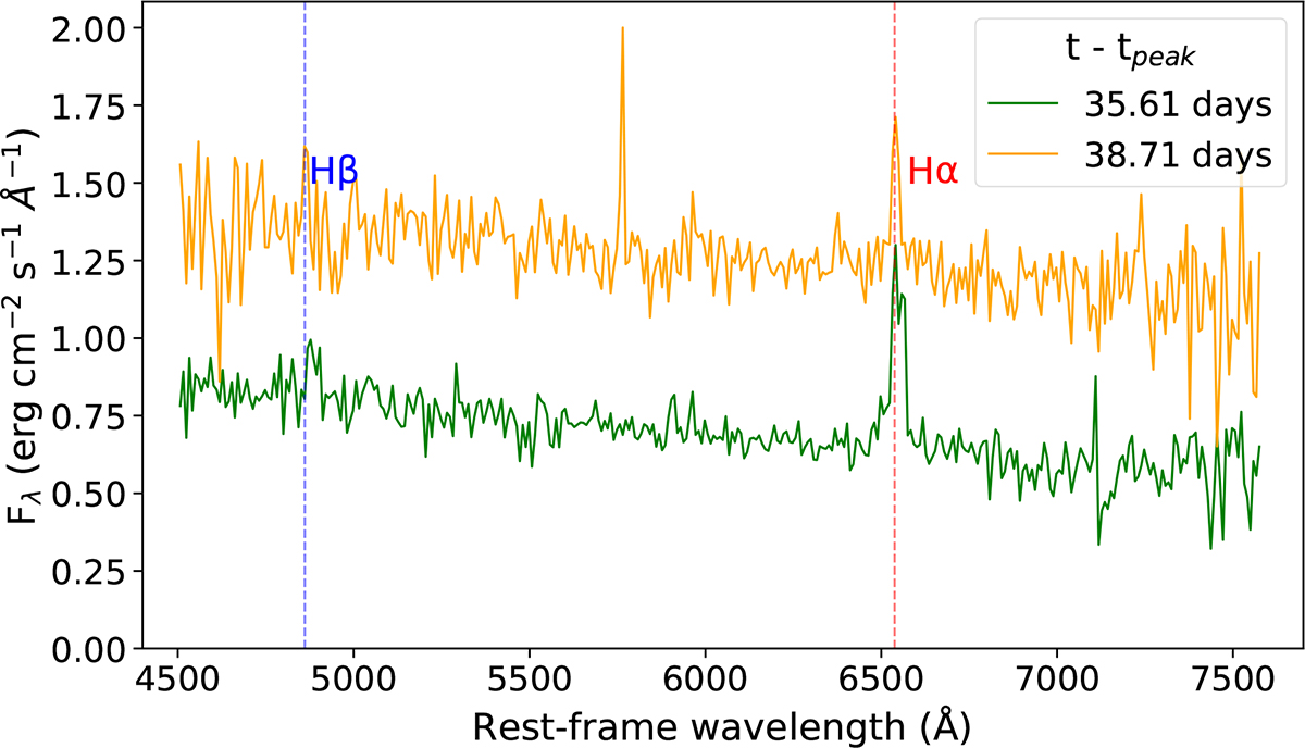 Fig. 2. Refer to the following caption and surrounding text.