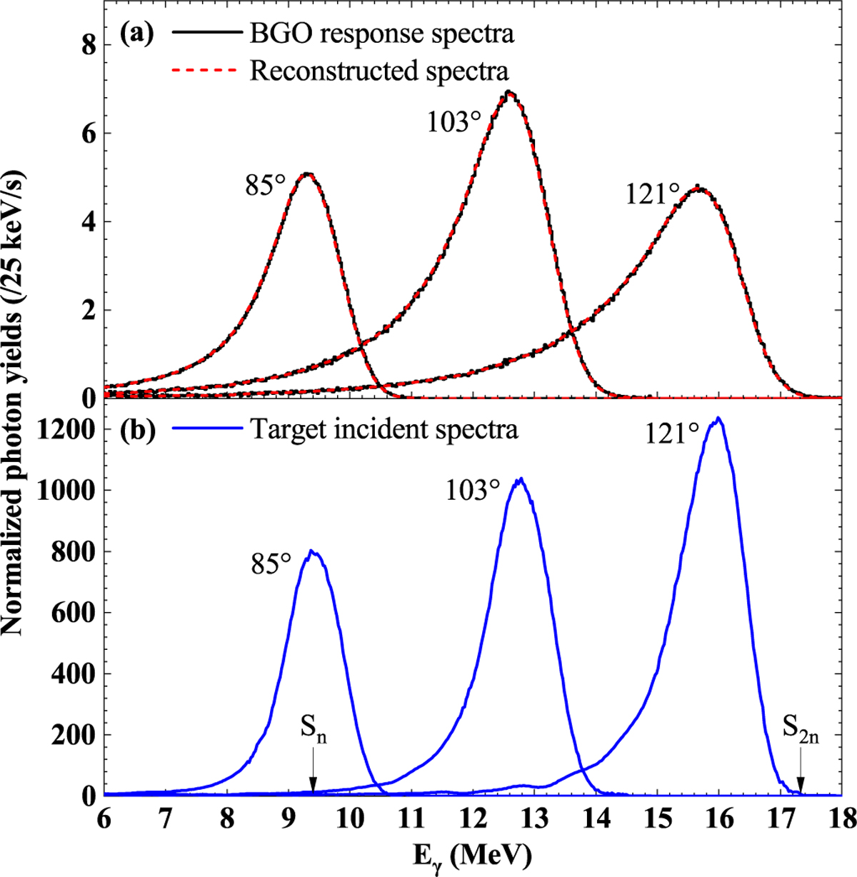 Fig. 3 Refer to the following caption and surrounding text.