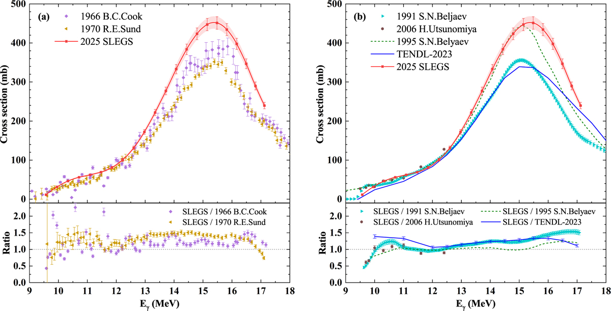 Fig. 5 Refer to the following caption and surrounding text.