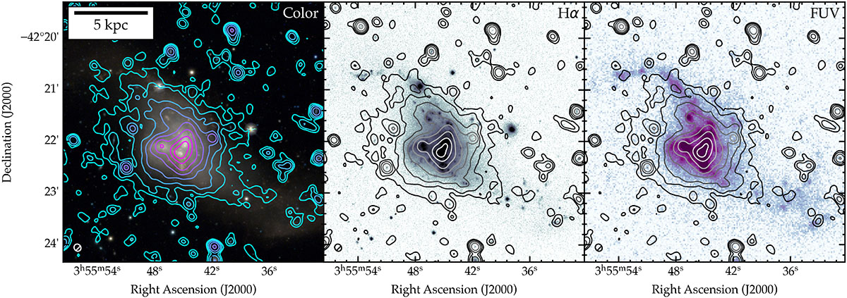 Fig. 1. Refer to the following caption and surrounding text.